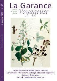 Ilustration de plantes