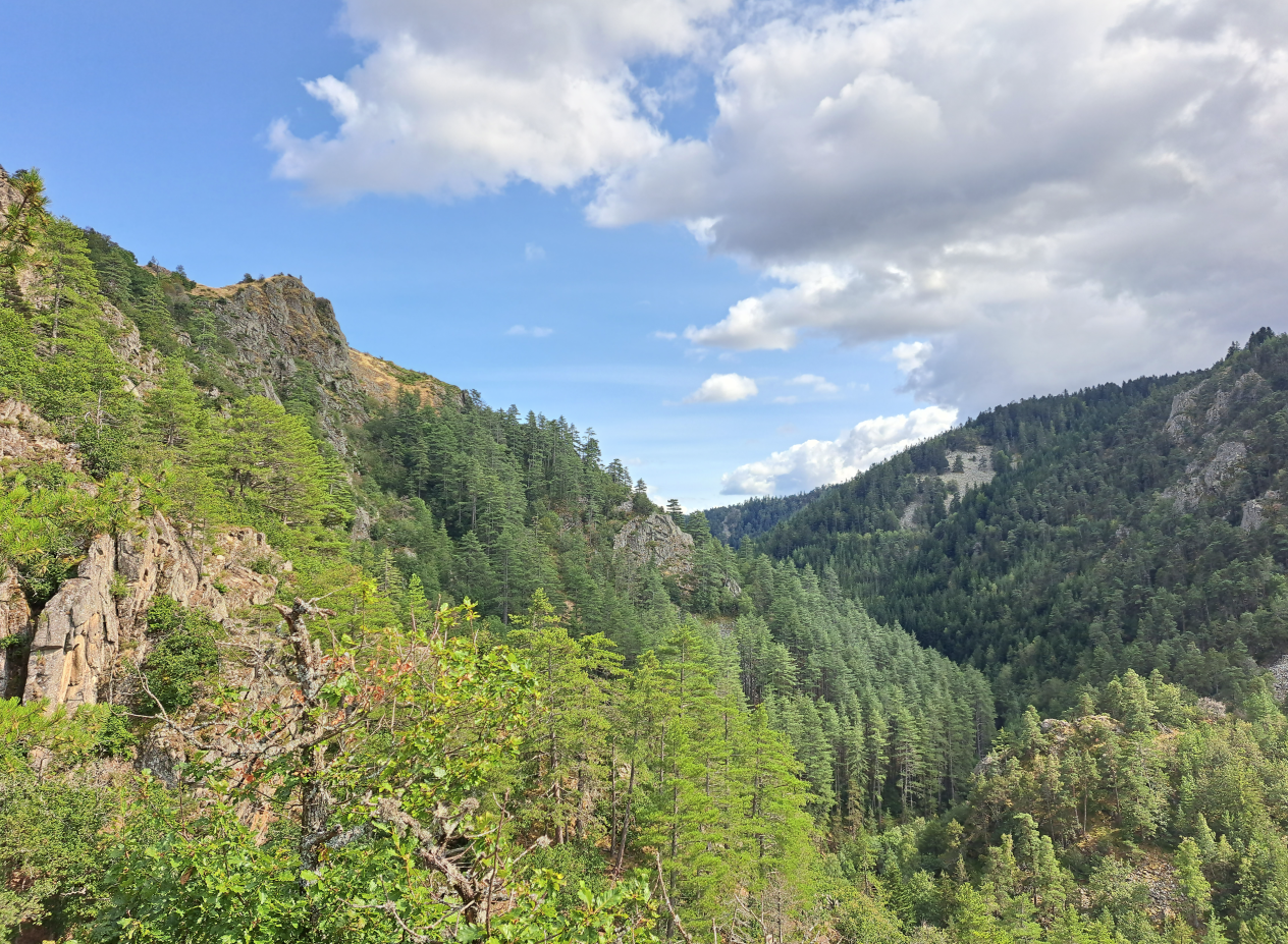 Vue Gorges du Bramont
