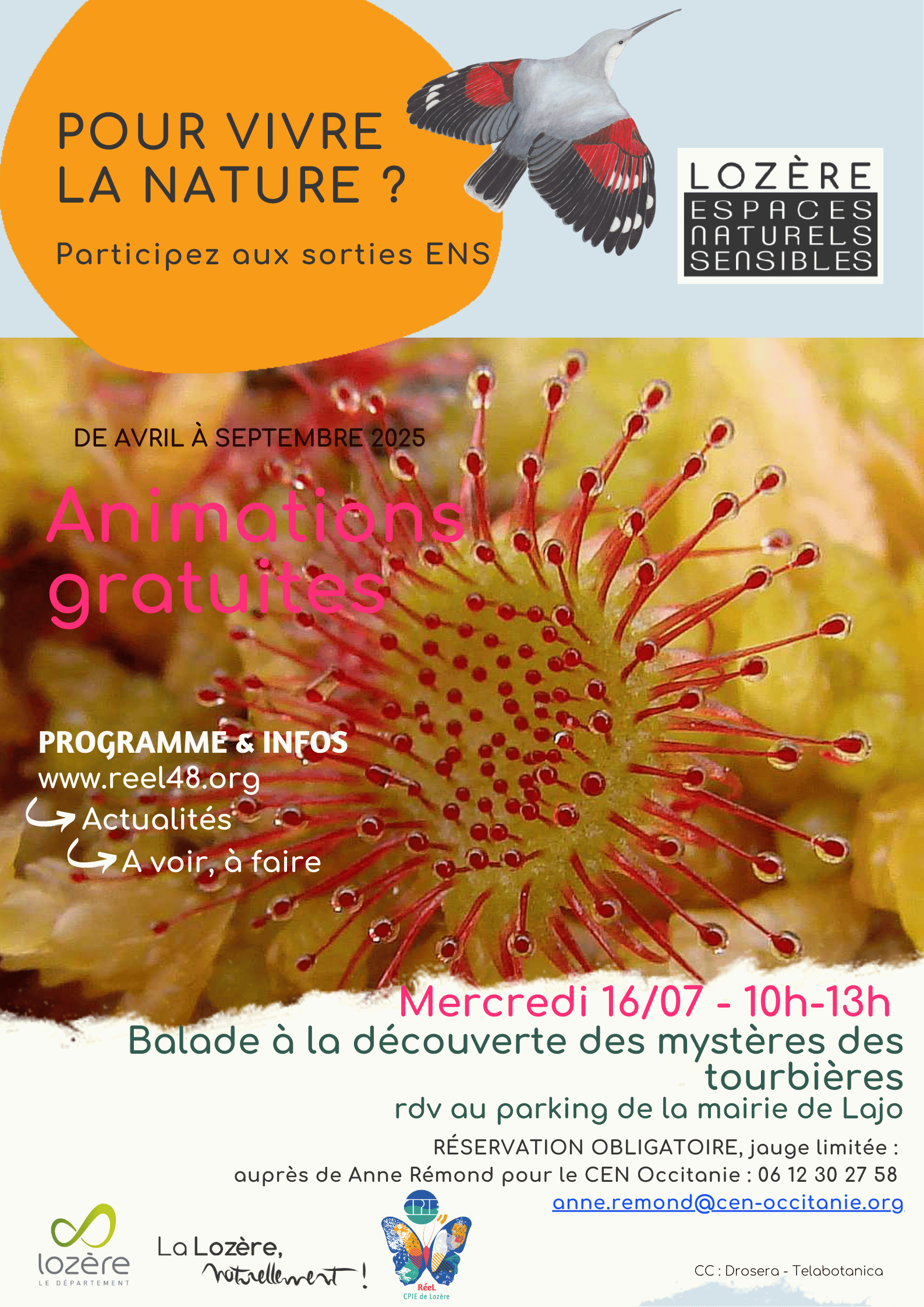 Affiche_Sortie_Lajo