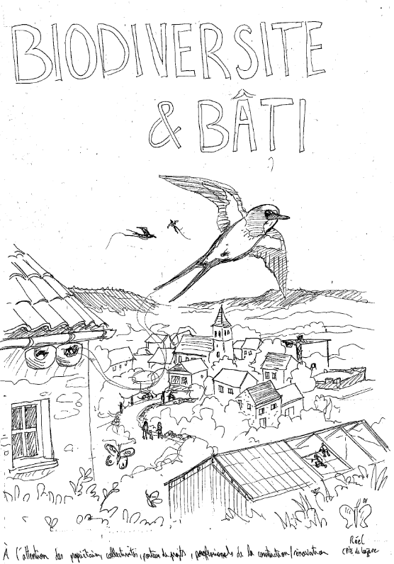 Couverture ébauche Biodiversité et bâti 