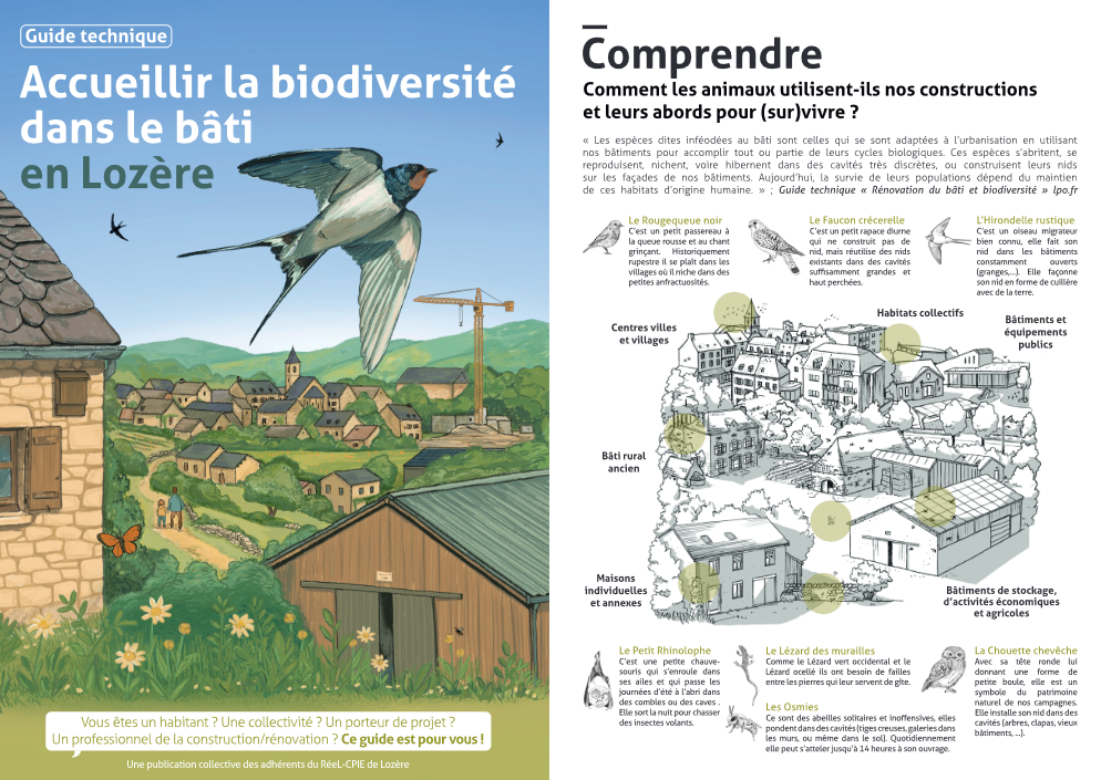 Accueillir la biodiversité dans le bâti en Lozère
