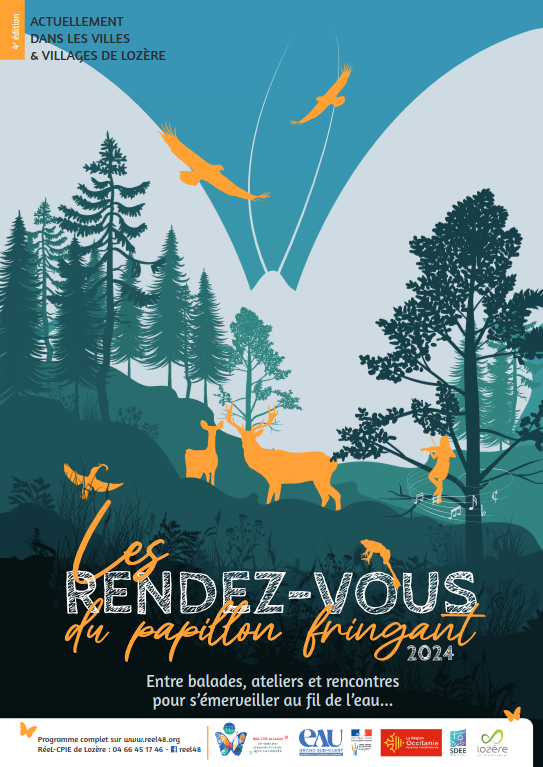 Affiche papillon fringant 2024