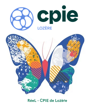 Logo Reel 2026