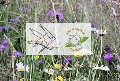 Logos des aires éducatives sur une prairie fleurie