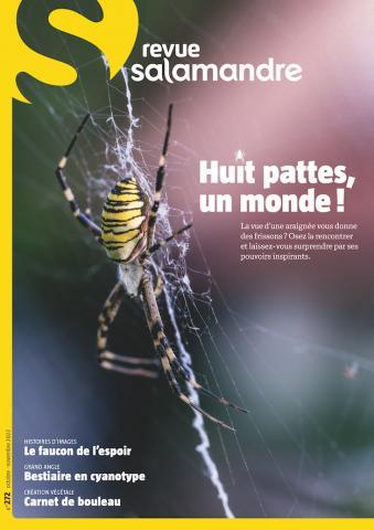 huit pattes un monde