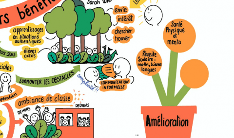 Facilitation graphique