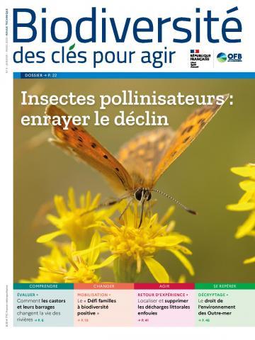 pollinisateurs