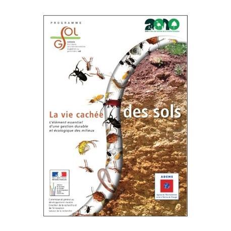 image de couverture / fourmis