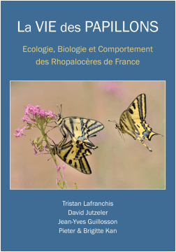 image de couverture - papillons