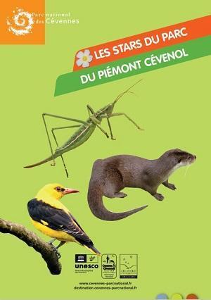 image de couverture / animaux