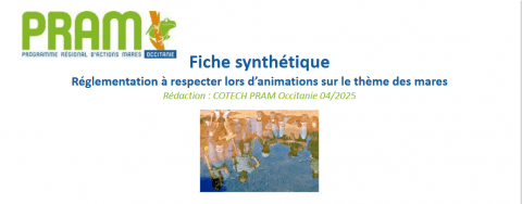 capture d'écran haut de la fiche