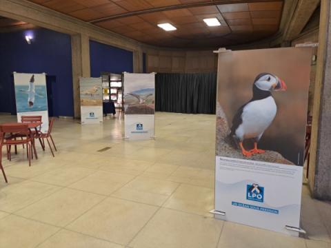 Crédit photo LPO / L'Océan sous pression exposée au CESE en mai 2025