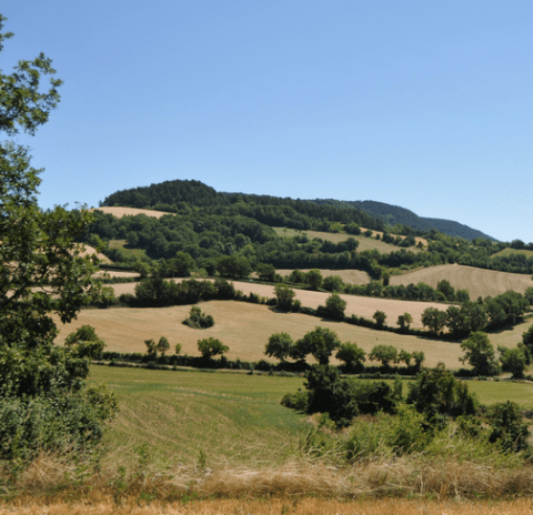 Gestion des haies - action 2022