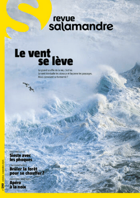 Couverture Salamandre n°290