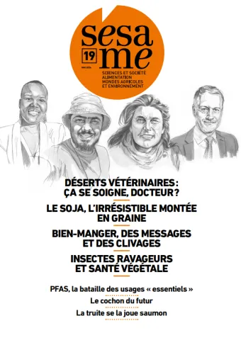 couverture sesame n19