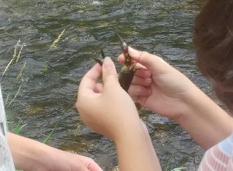 Fête de l'eau - 2020